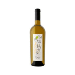 Chardonnay 2019