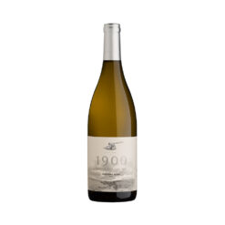 1900 Sauvignon Blanc 2019